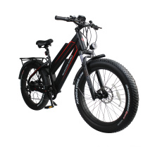 11.6Ah dual lithium battery fat tire electric bike 48V 750W ebike 26inch e-bike